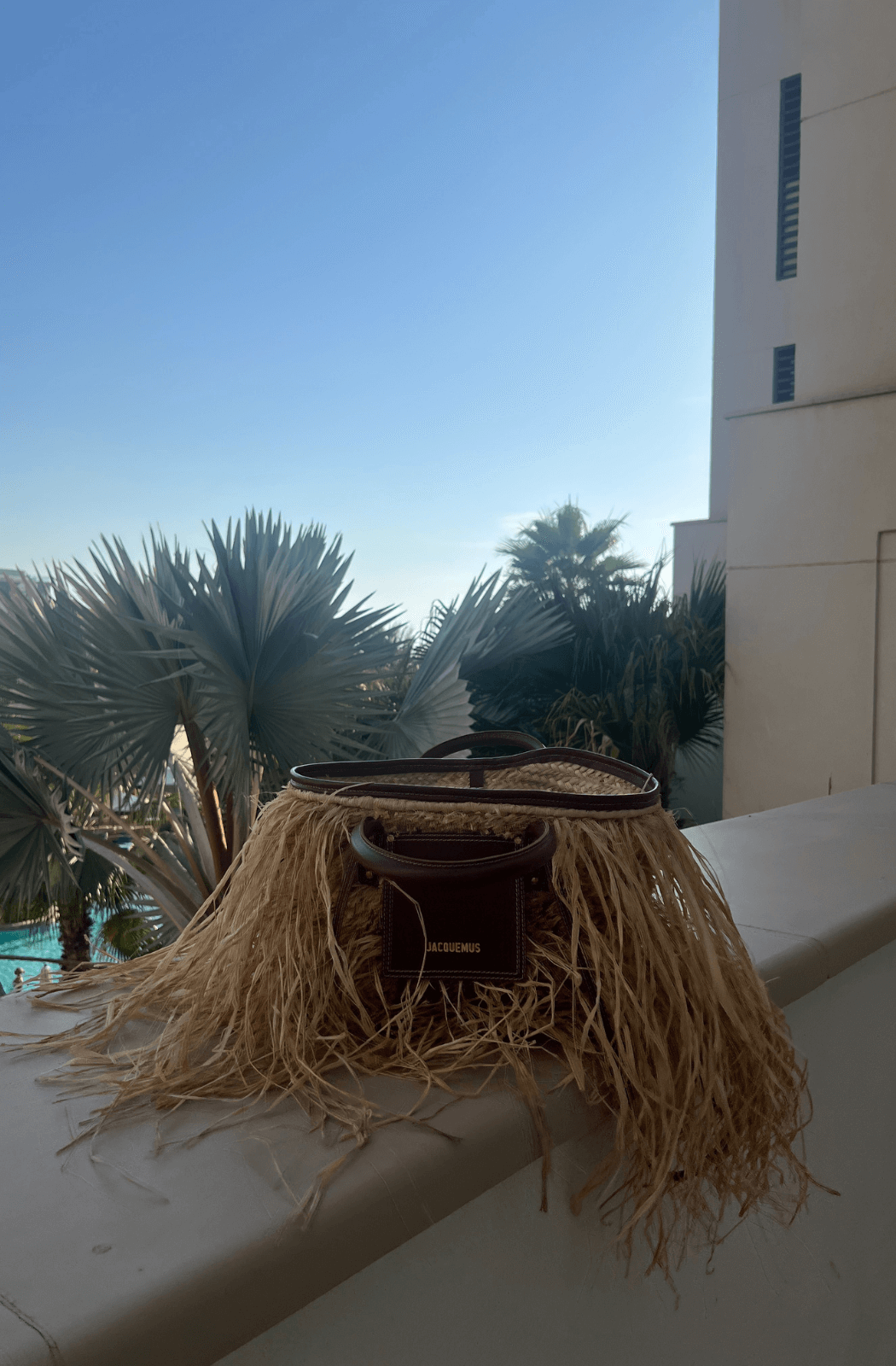 Jacquemus Le Panier Soli Fringed Raffia Tote