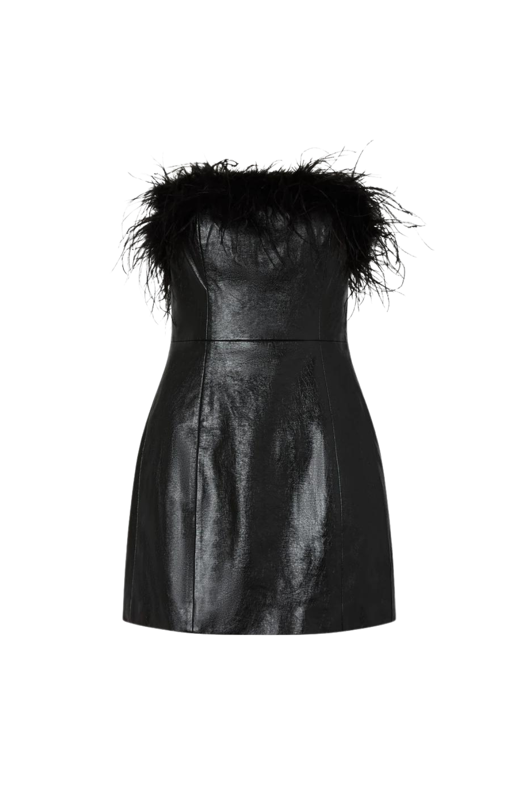 Kitri Poppy Vinyl & Feather Dress